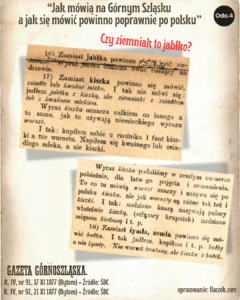 Czy ziemniak to jabłko? Wyjaśnienia językowe z „Gazety Górnoszląskiej” (1877)